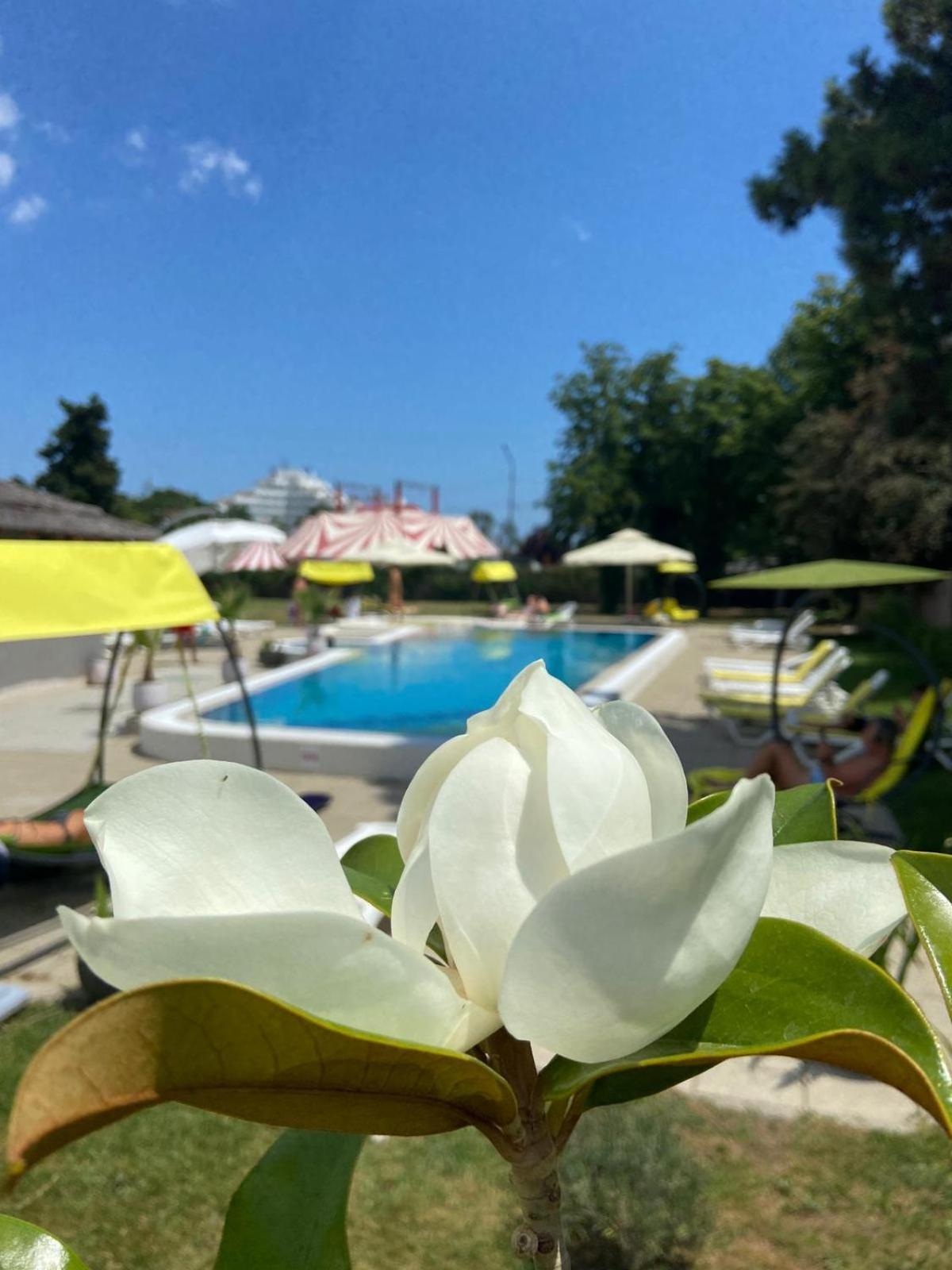 Hotel Iulia Resort Venus Buitenkant foto